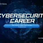 Careers in the Cybersecurity